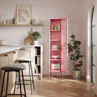 The Wimbledon - Fluted Glass Single Door Locker In Flamingo - Urban Lockers